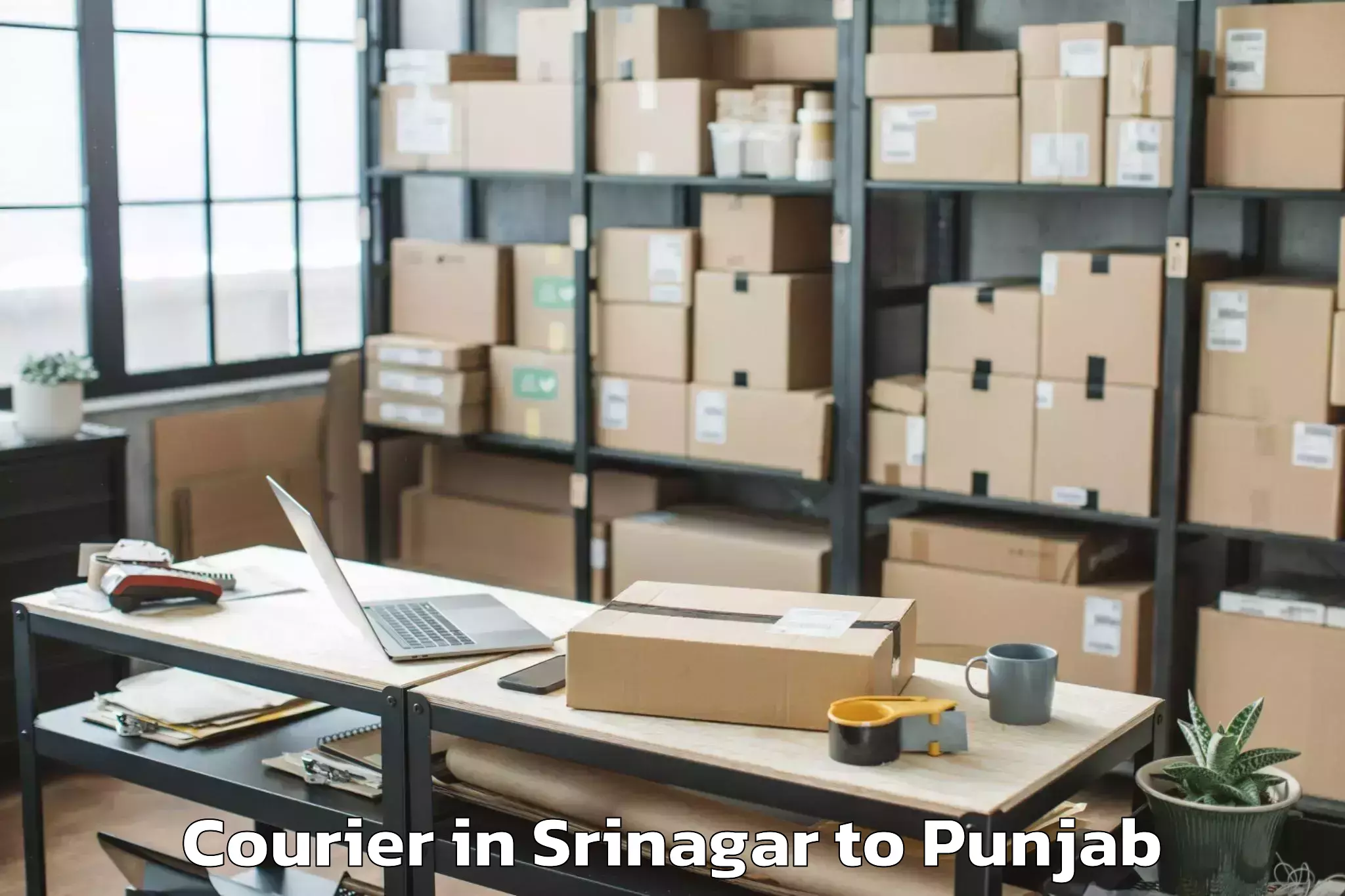 Reliable Srinagar to Punjabi University Patiala Pat Courier